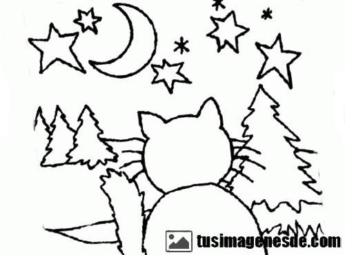 Featured image of post Dibujos De Paisajes De Noche Para Colorear