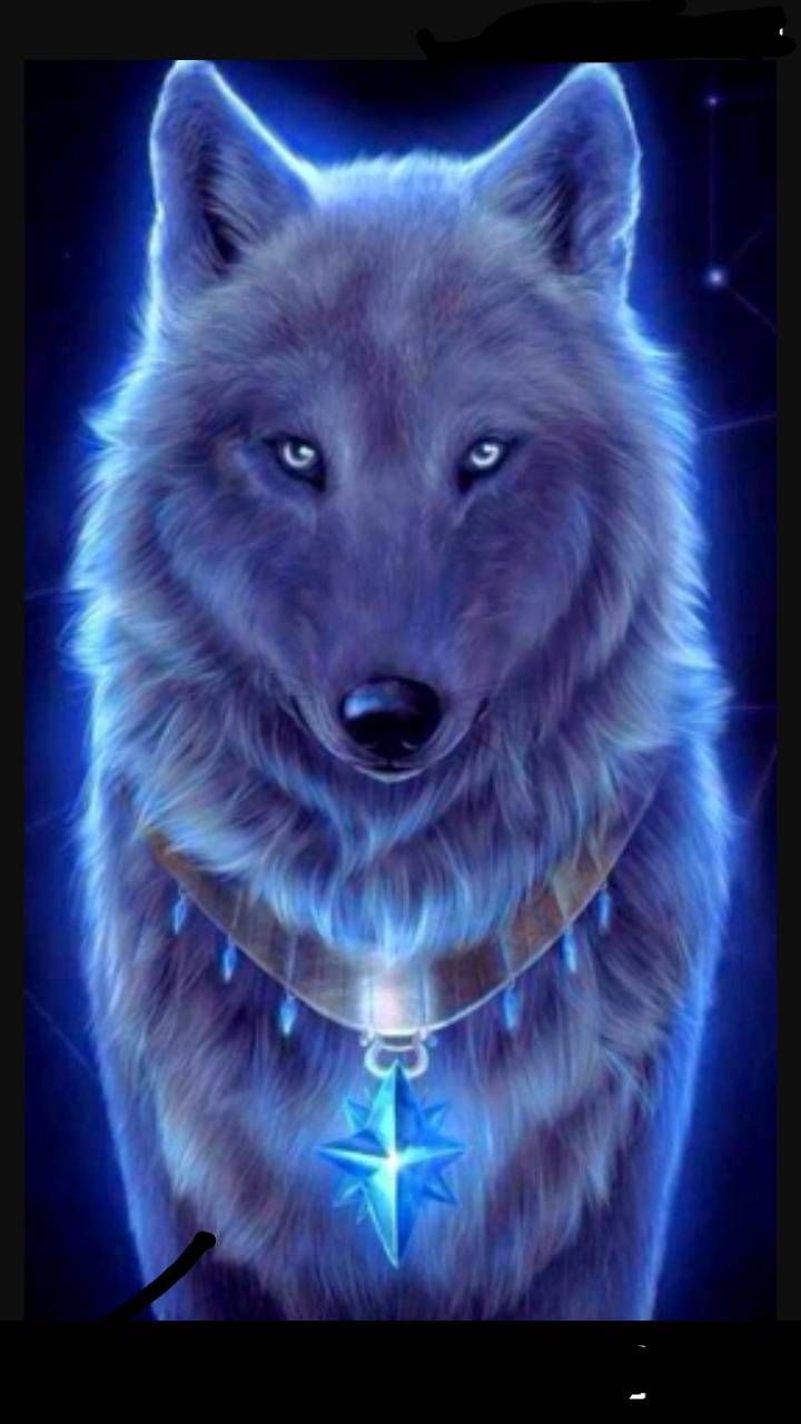 Featured image of post Galaxy Blue Wolf Wallpaper