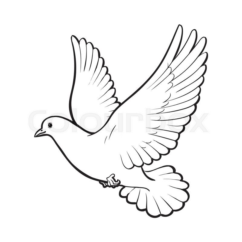 Featured image of post Outline Flying Dove Drawing